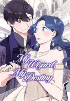 My Wizard, My Destiny My Wizard, My Destiny