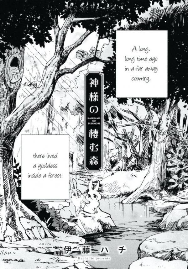 The Forest Where the Goddess Lives The Forest Where the Goddess Lives