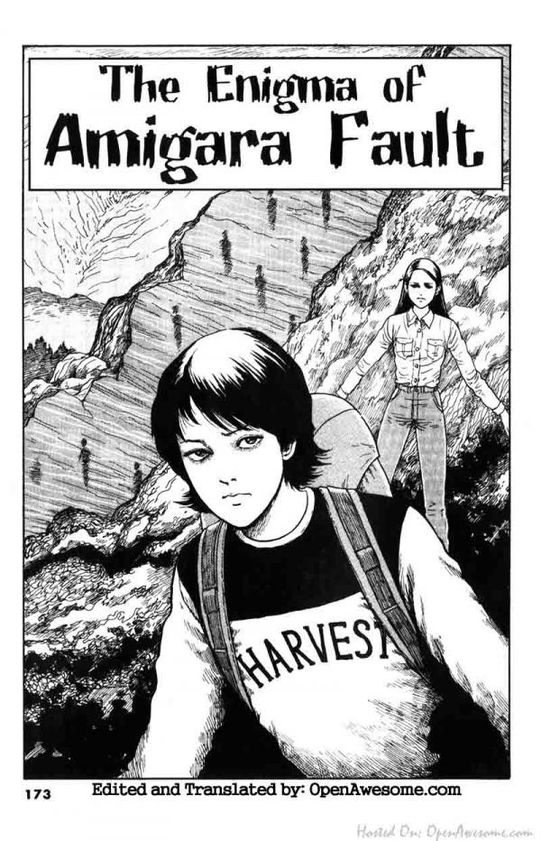 The Enigma of Amigara Fault